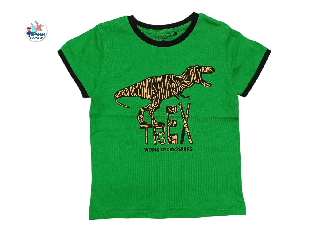 BOYS T'SHIRT 250C \ E060791 - Image 1
