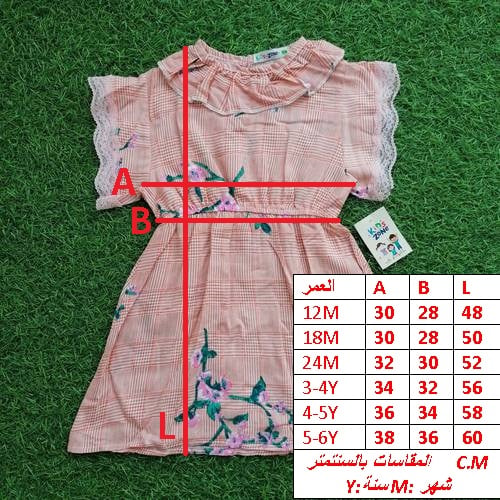 1900F\A419110 - Image 2