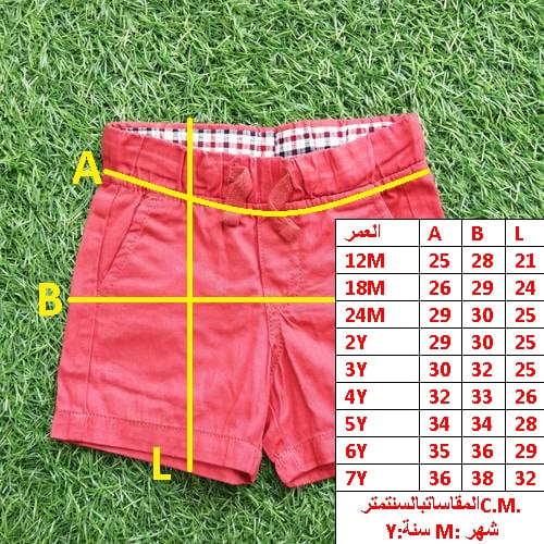 SHORT PANT FOR BOYS 500B \ T081587 - Image 2