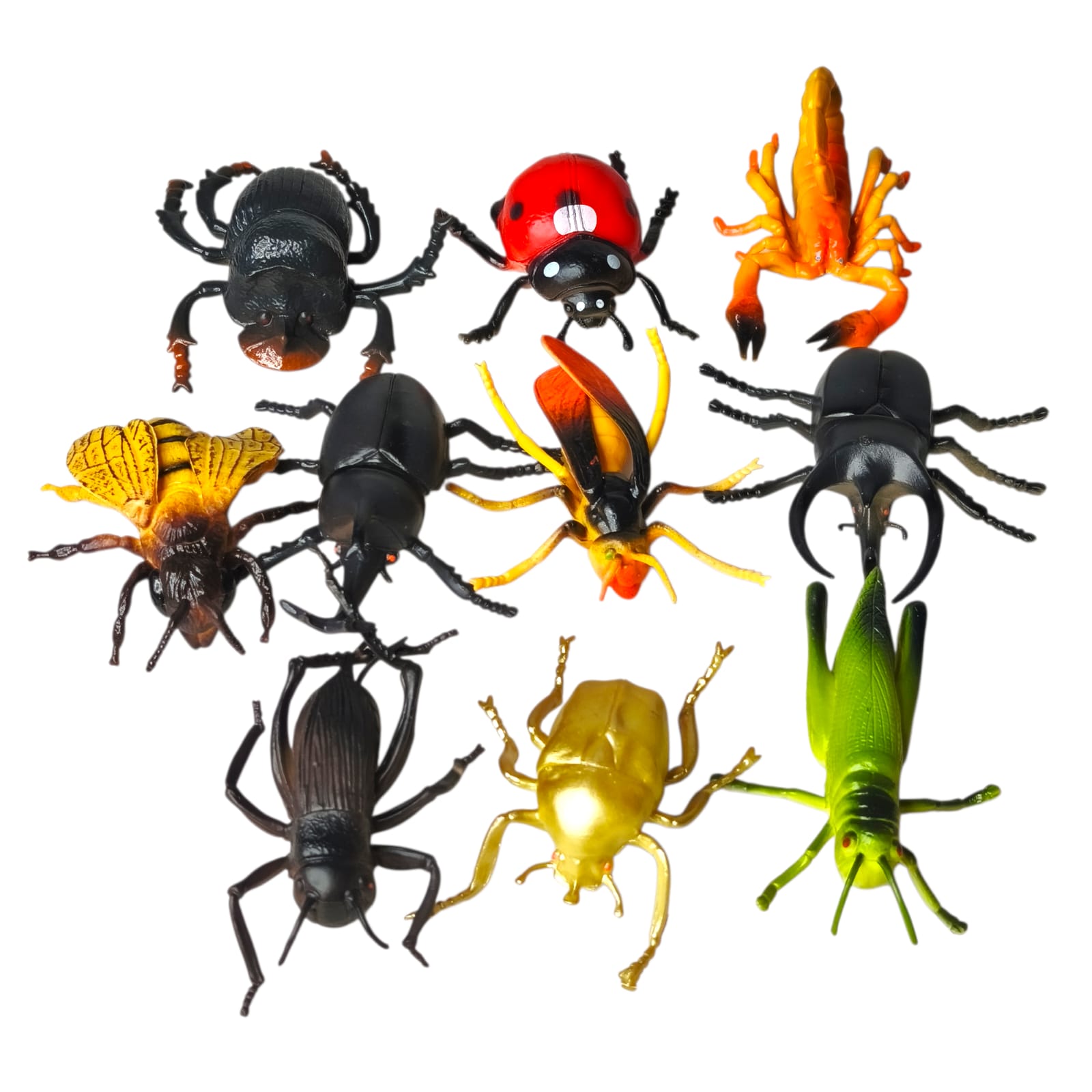 Realistic Insects and Bugs Toy for Kids F19 \ G212212 - Image 1