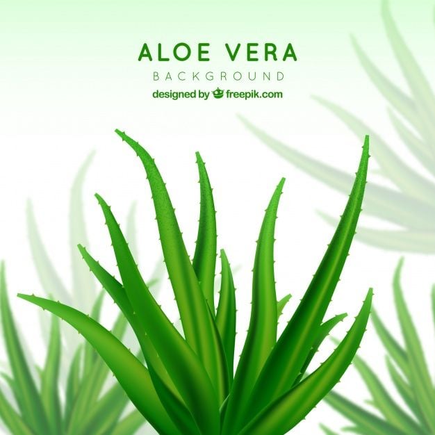 Skin Doctor Natural Aloe Vera Soothing Gel 300 ml E41 \ 8858854603135 - صورة 6