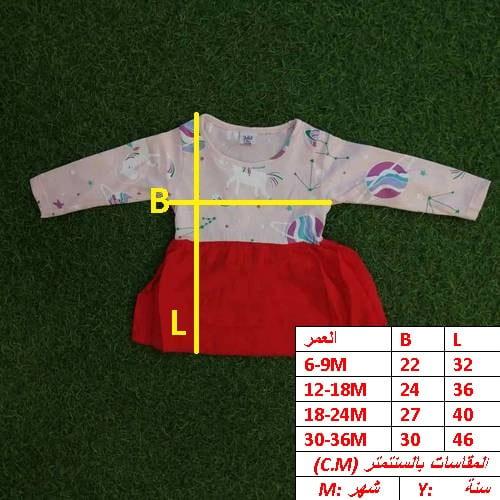 900C \ B121428 - صورة 2