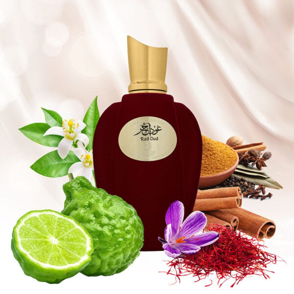 Red Oud Perfume EDP 100ml -A \ 6290102022435 - Image 4