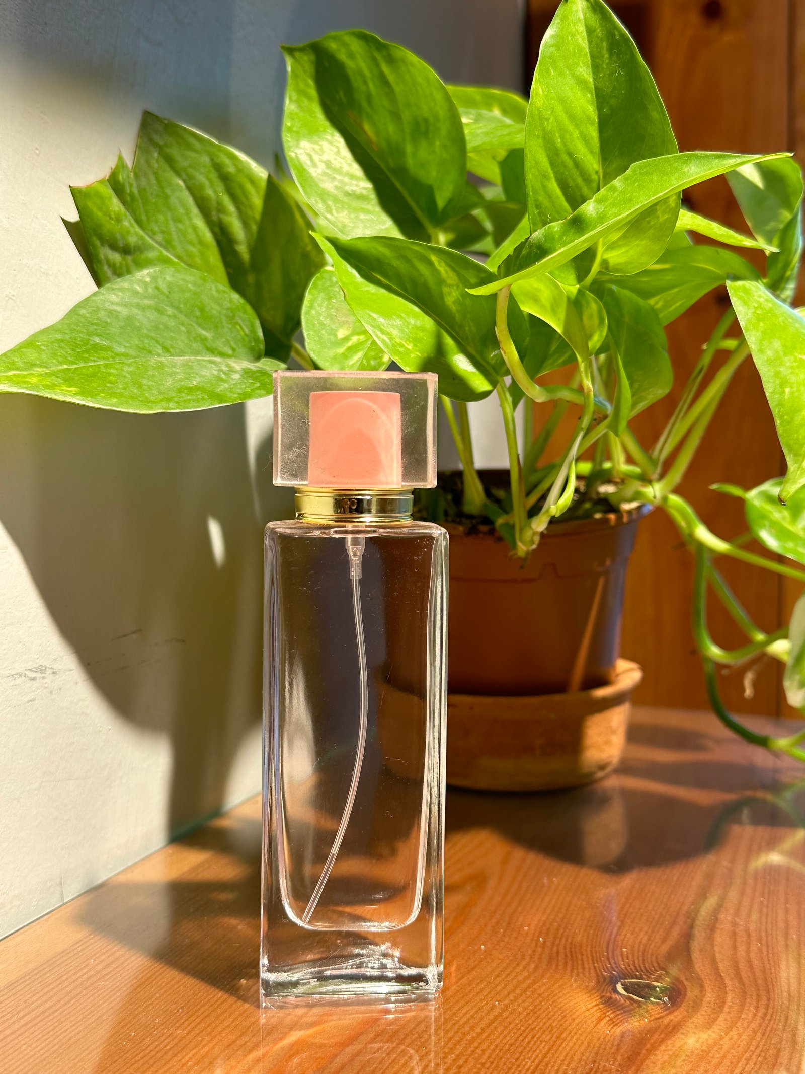 عطر ساكورا ،50 مل - صورة 1