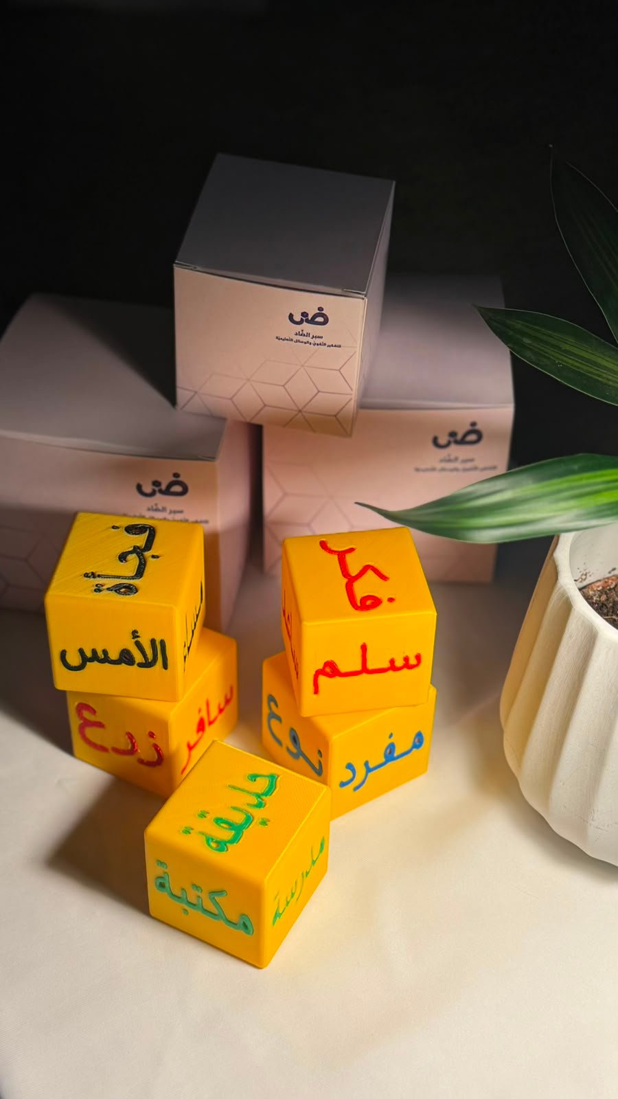سبر التعبير - المستوى 1 - صورة 1
