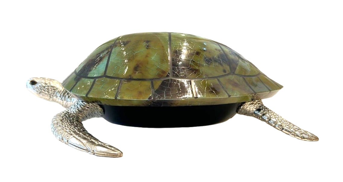 Small Sea Turtle Light Aqua Shell Box - Image 5