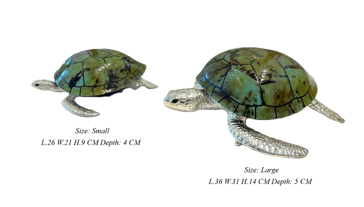 Small Sea Turtle Light Aqua Shell Box - Image 9