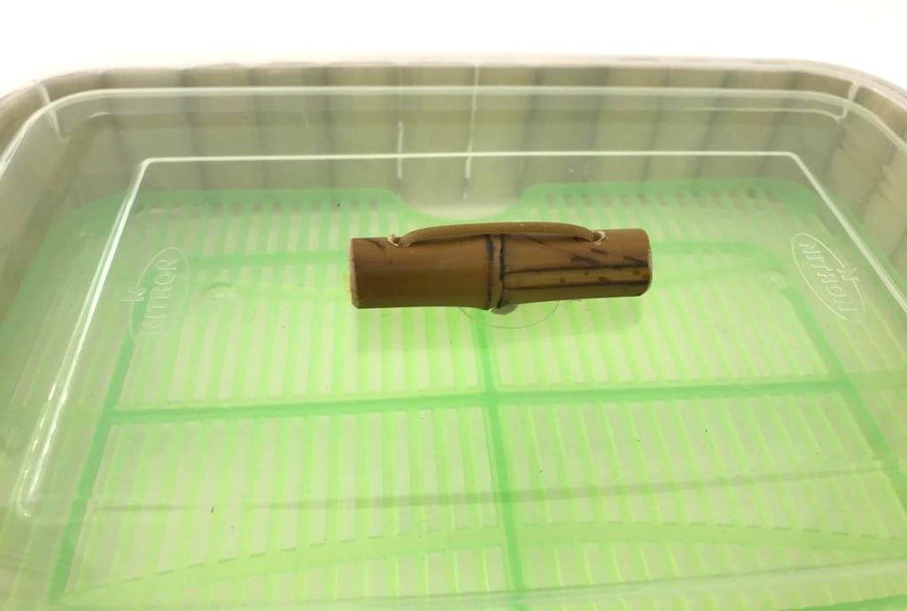 Medium Rectangular Bamboo Support with Acrylic Lid - صورة 5