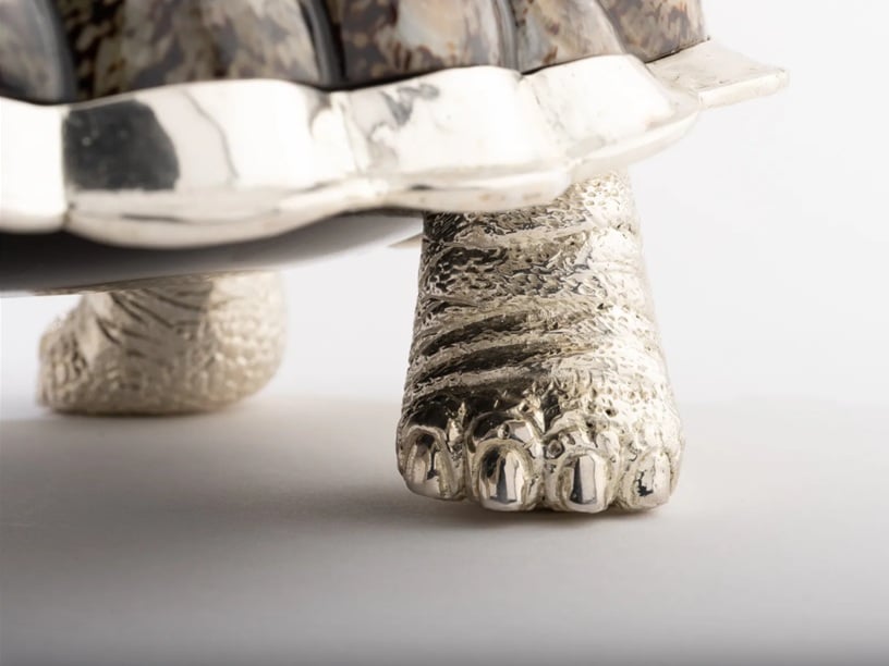 Limited Edition Galapagos Tortoise Decorative Box with Limpet Shells - Image 6