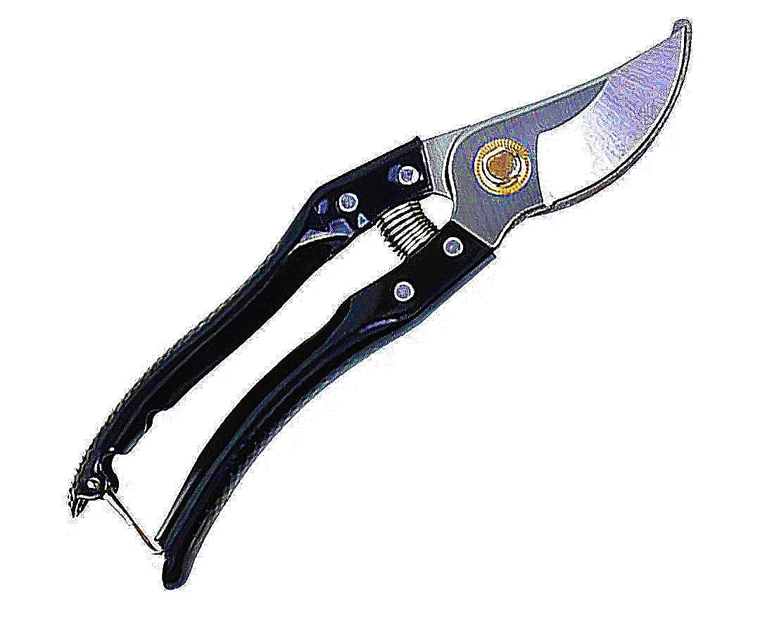 Shears - Image 3