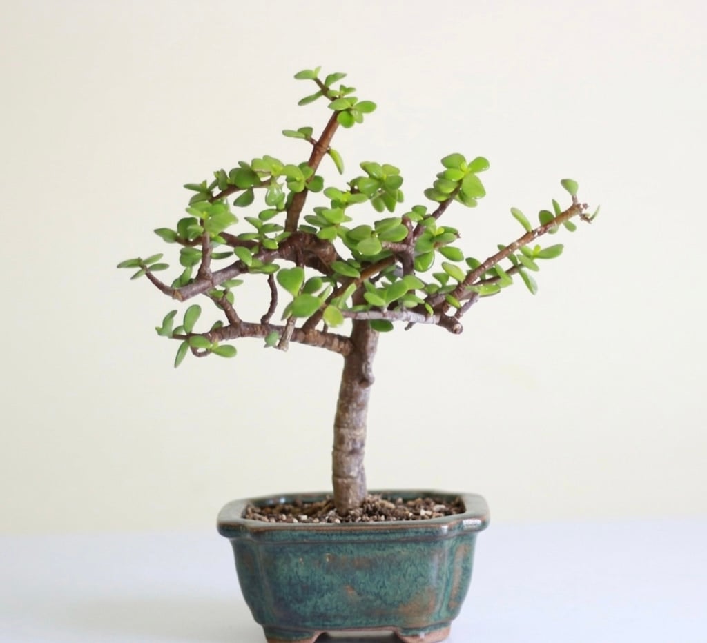 Jade - Image 1