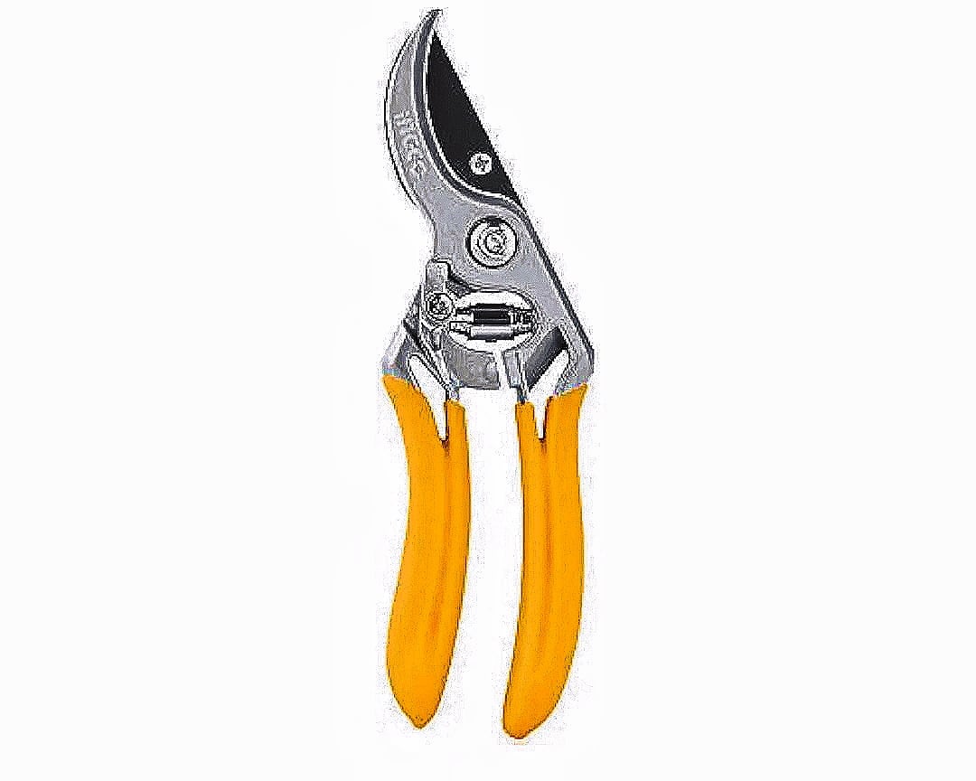 Shears - Image 2