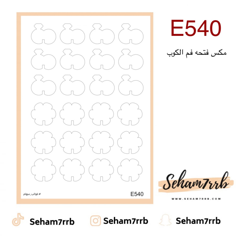 E540 - صورة 1