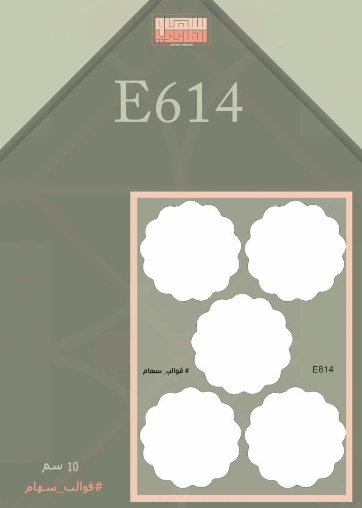 E619 - صورة 2