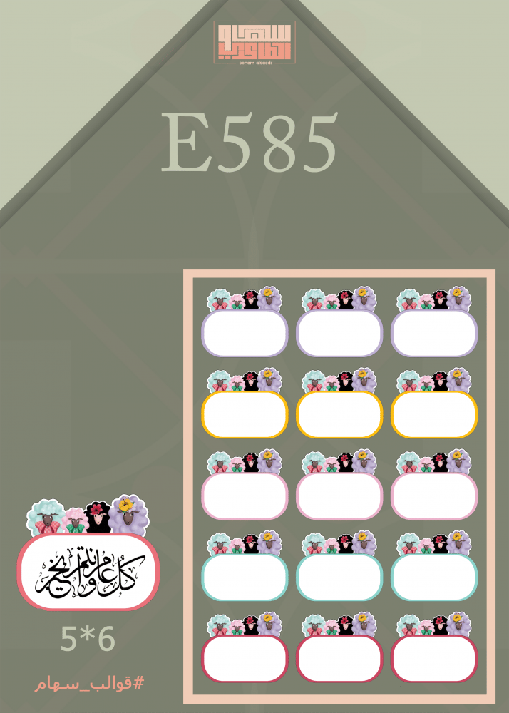 E585 - صورة 1