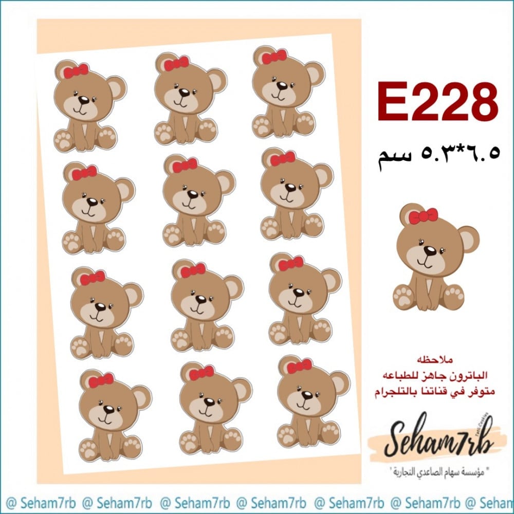 E228 - صورة 1