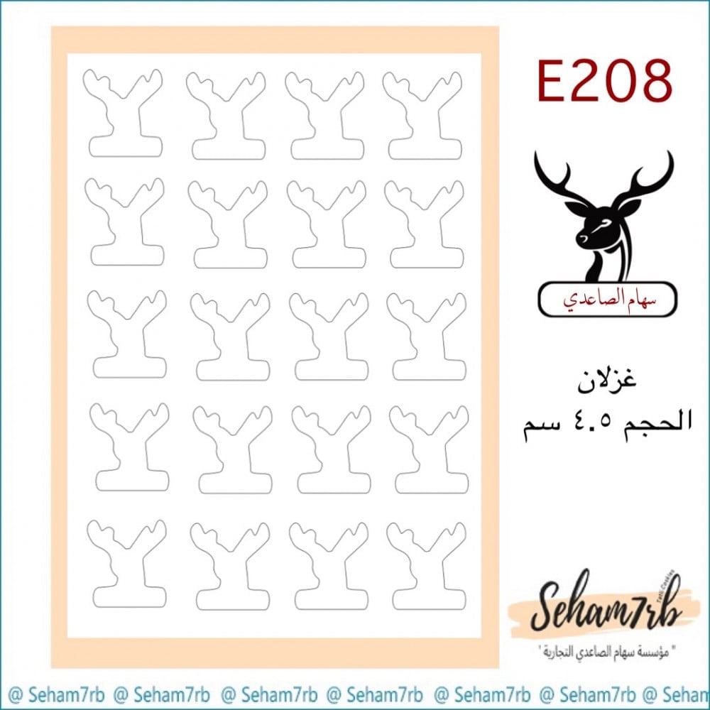 E208 - صورة 1
