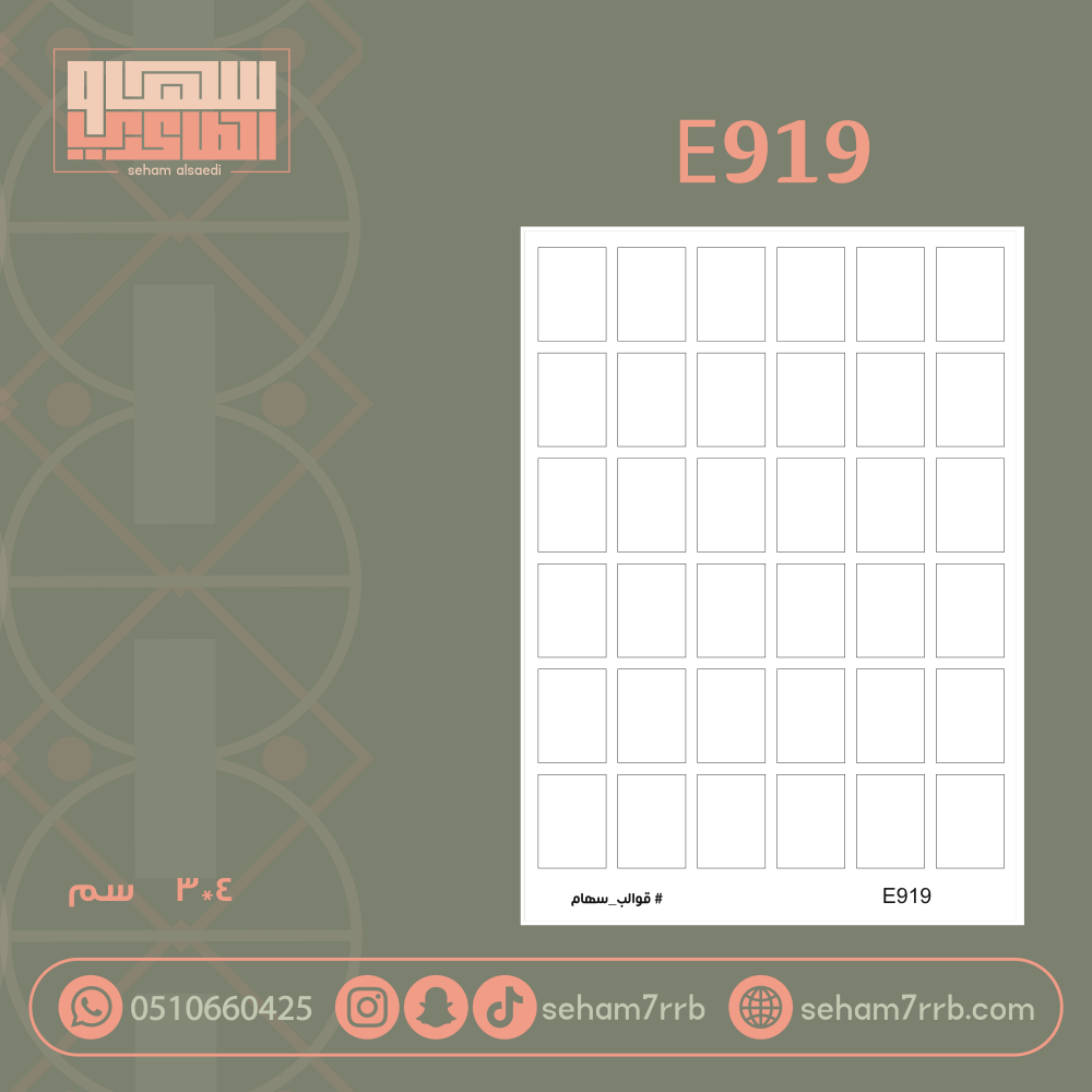 E919 - صورة 1