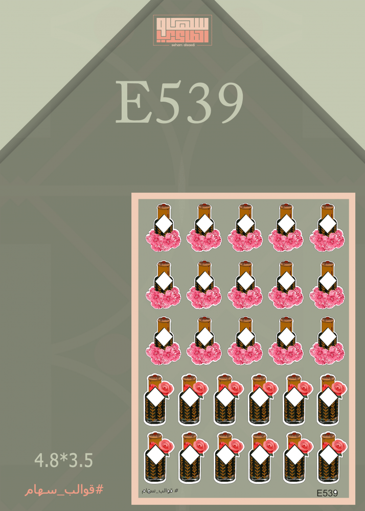 E557 - صورة 2