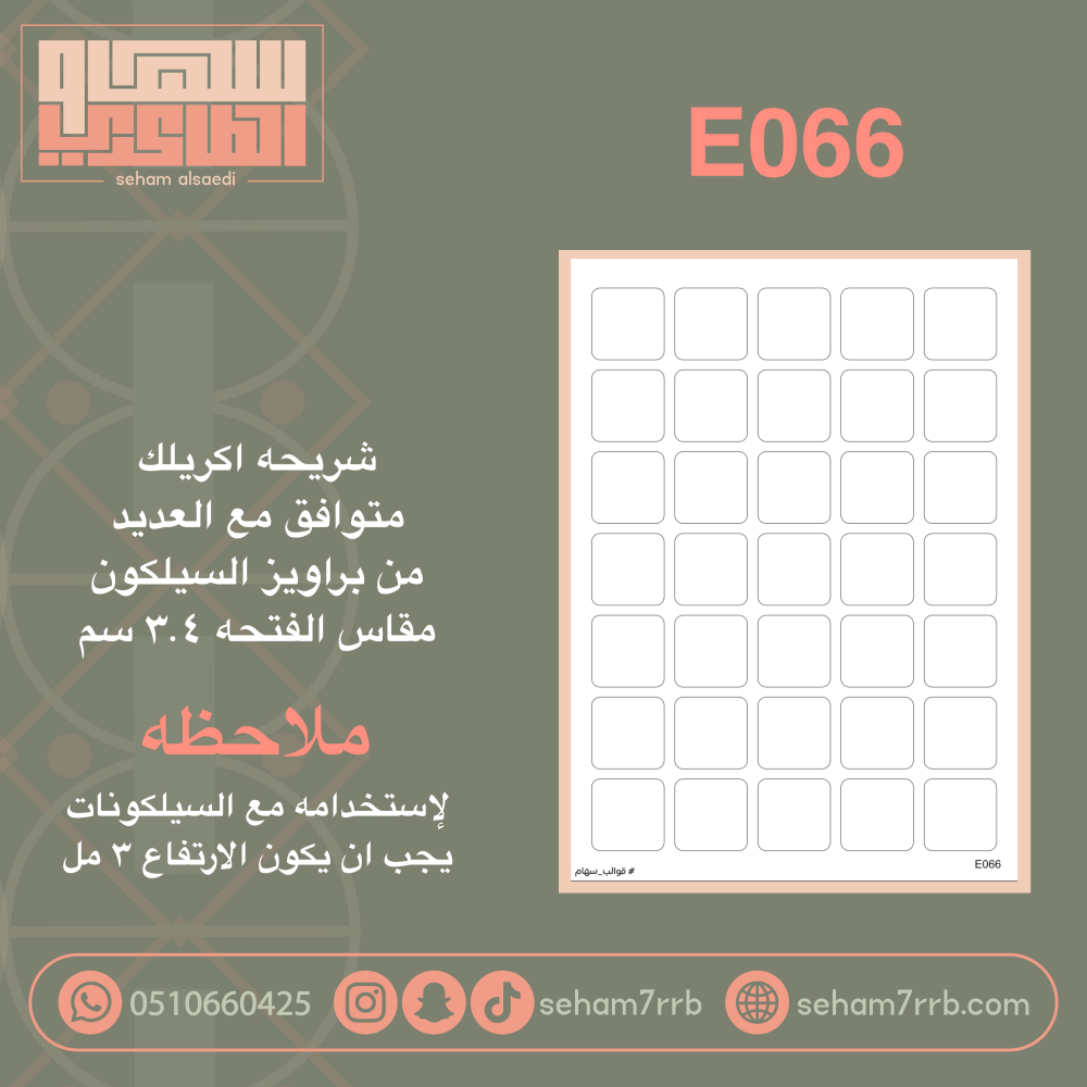 E066 - صورة 1
