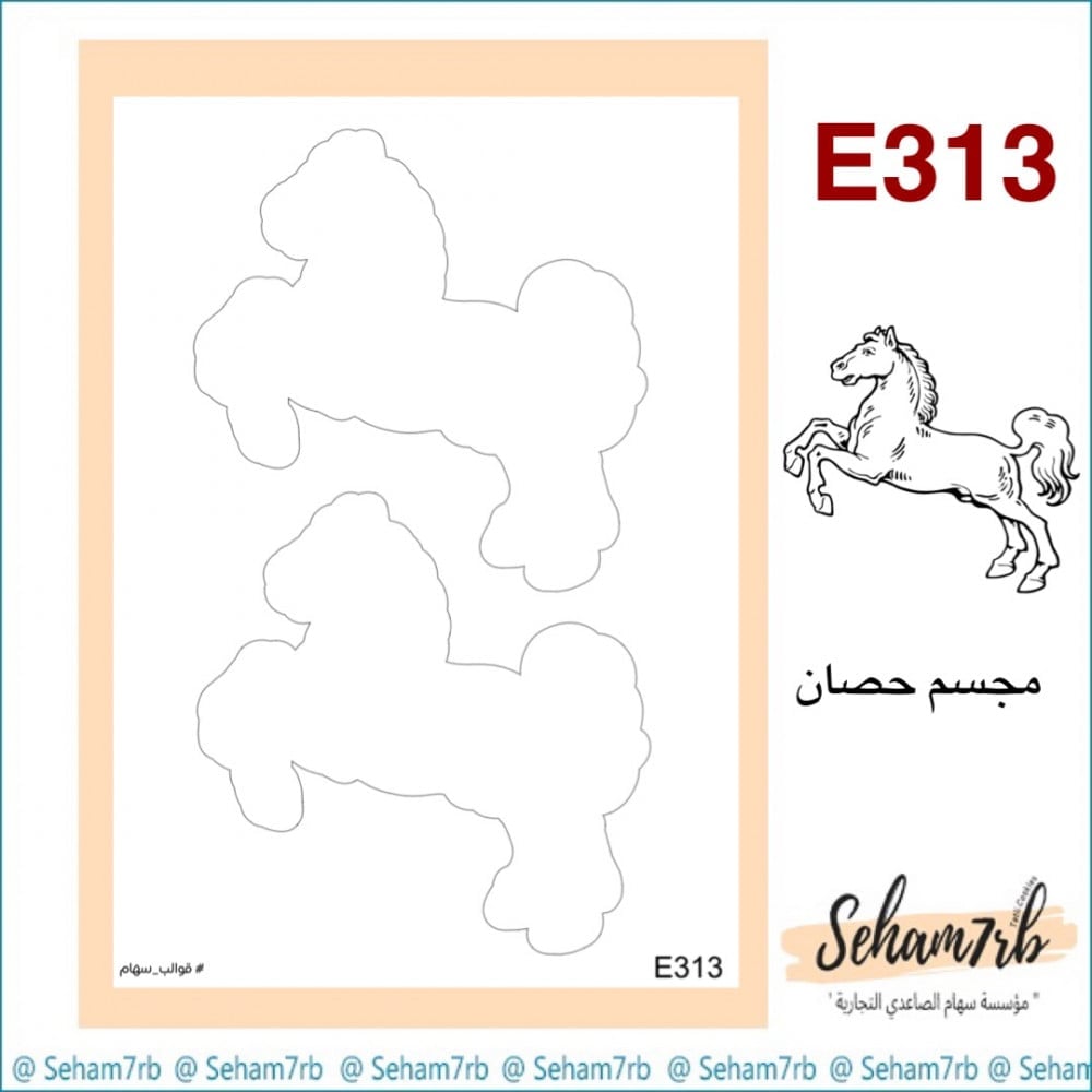 E313 - صورة 1