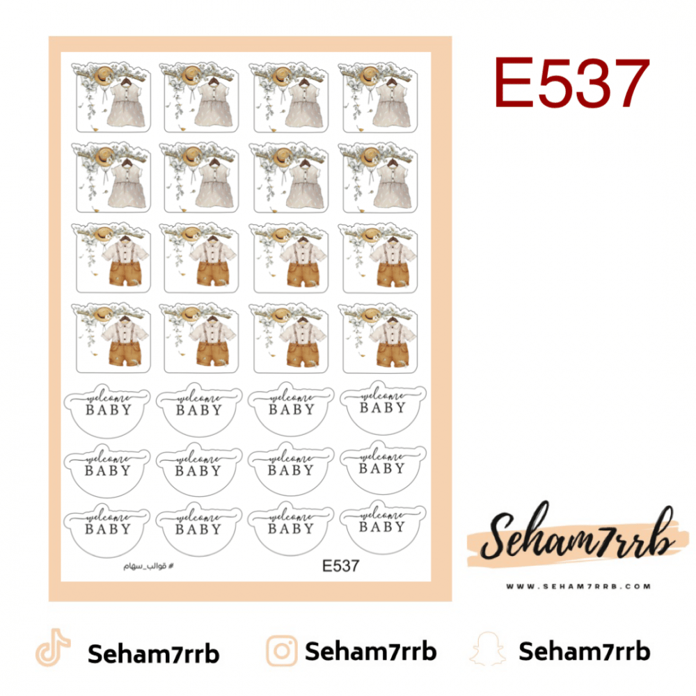 E537 - صورة 1