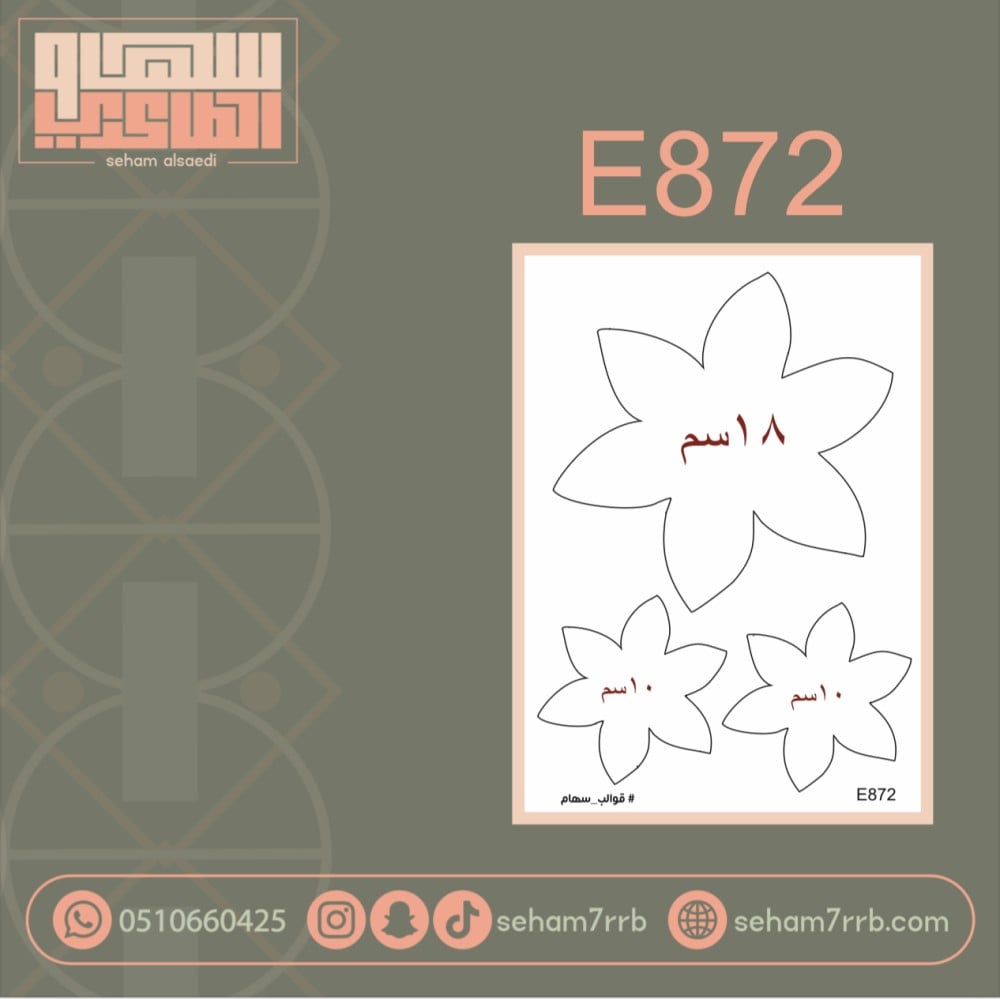 E872 - صورة 1