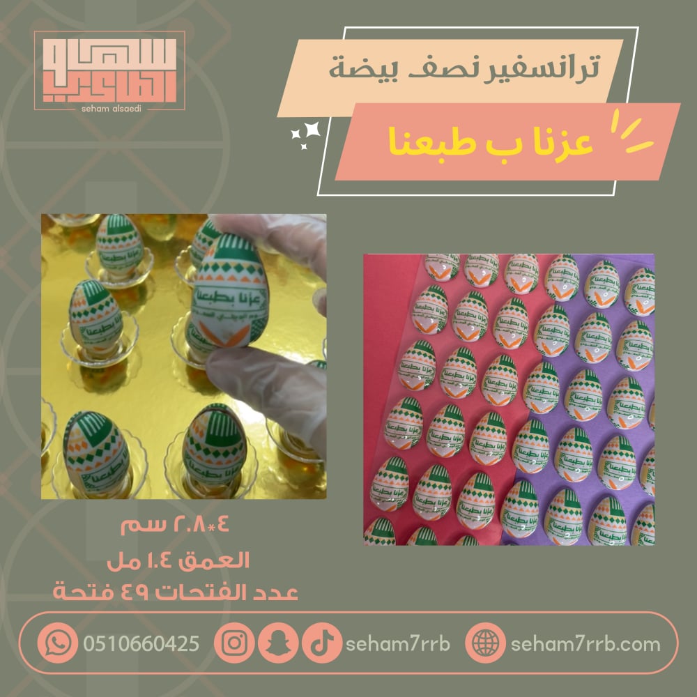 ترانسفير نصف بيضة عزنا بطبعنا - صورة 1