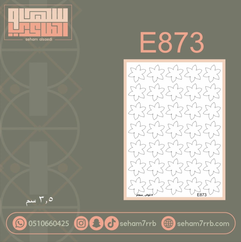 E873 - صورة 1