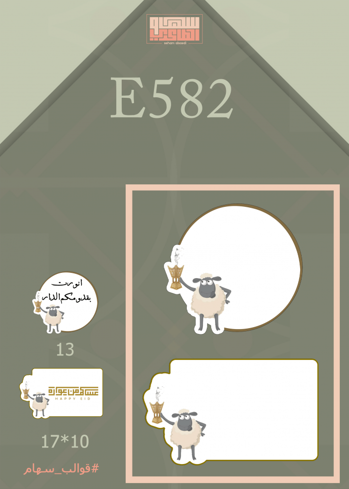 E582 - صورة 1
