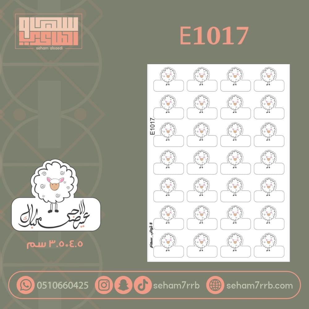 E1017 - صورة 1