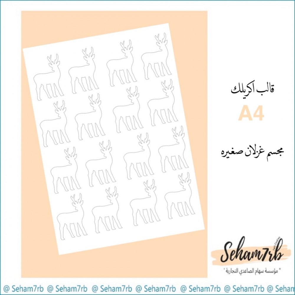 E093 - صورة 1