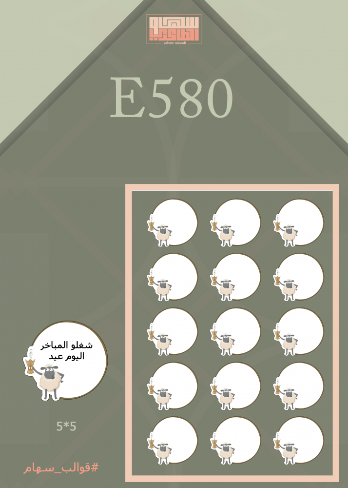 E580 - صورة 1