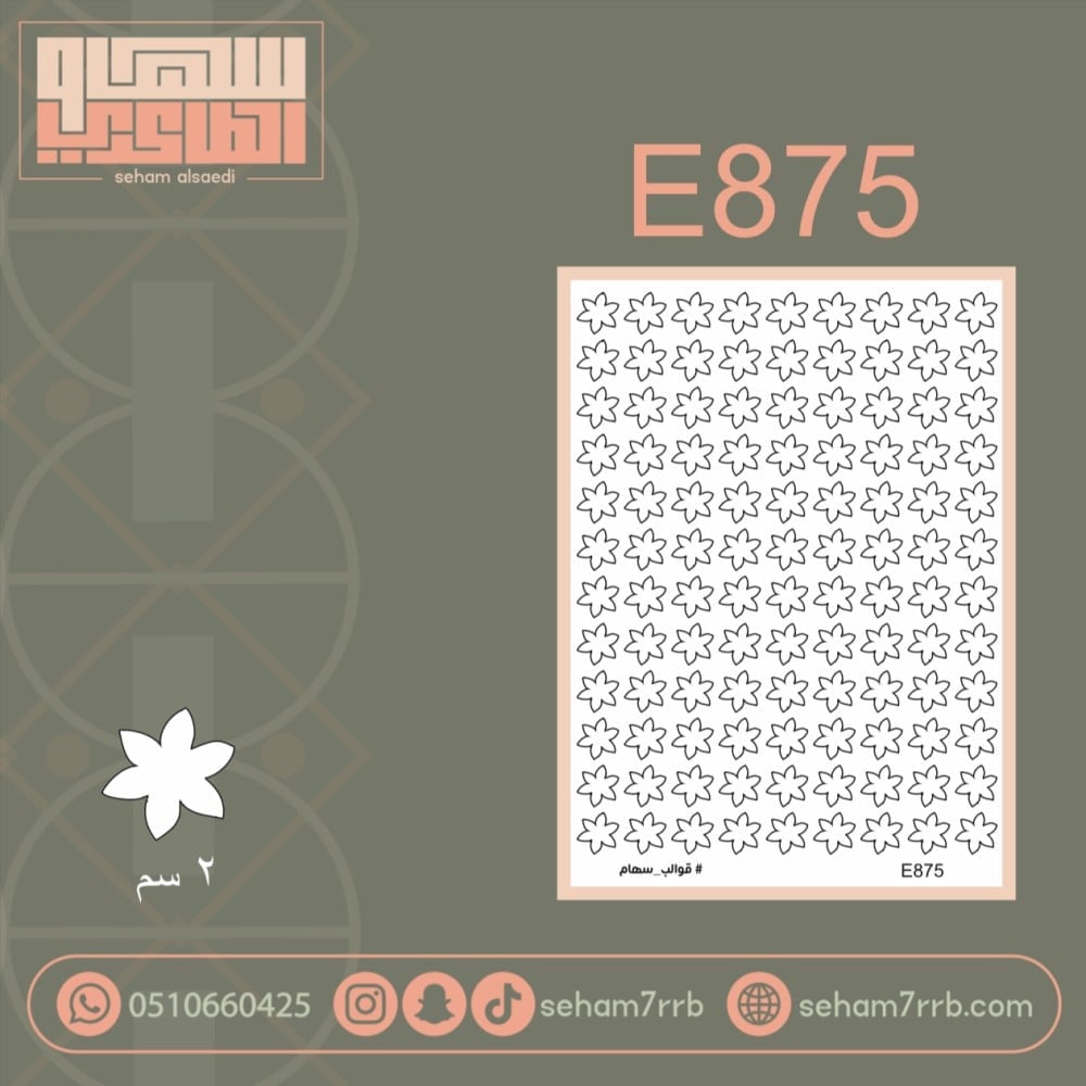 E875 - صورة 1