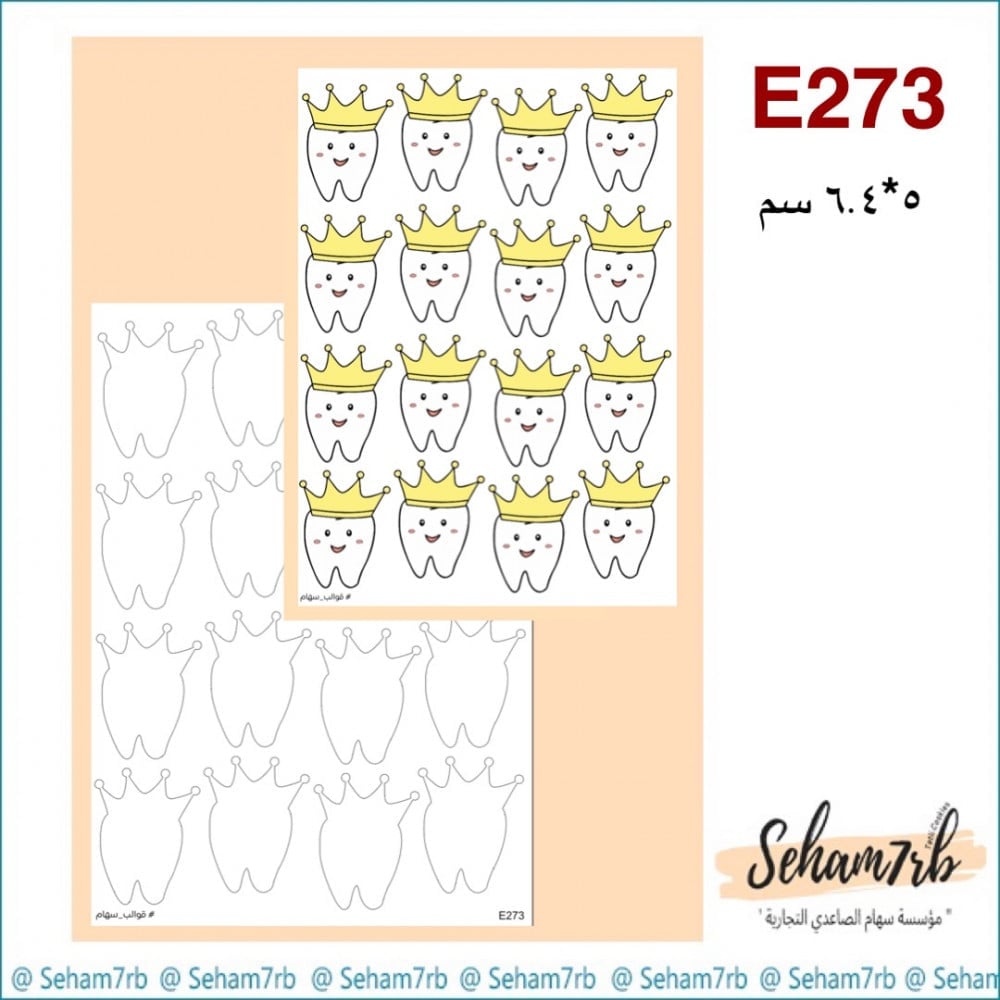 E273 - صورة 1