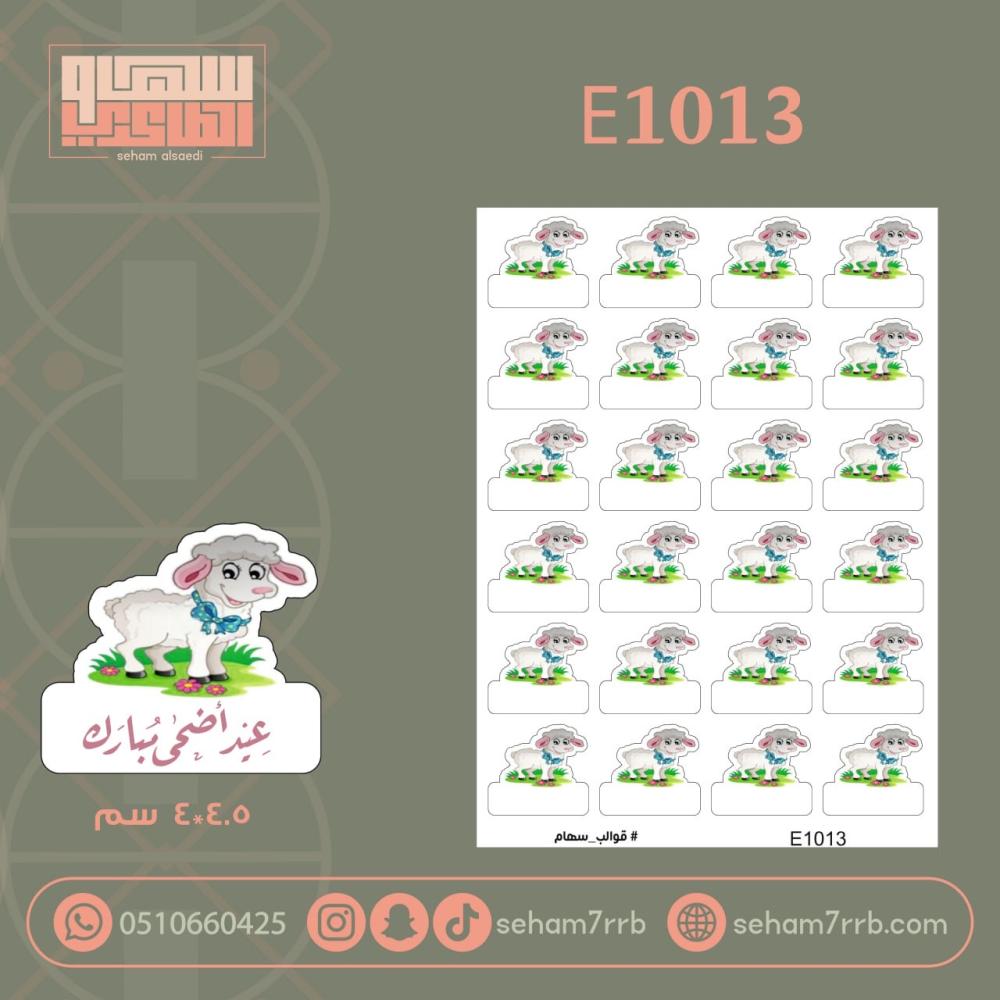 E1013 - صورة 1