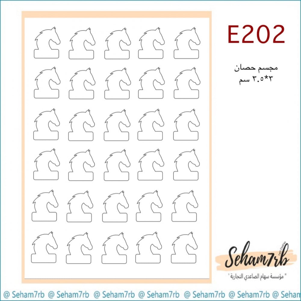 E202 - صورة 1