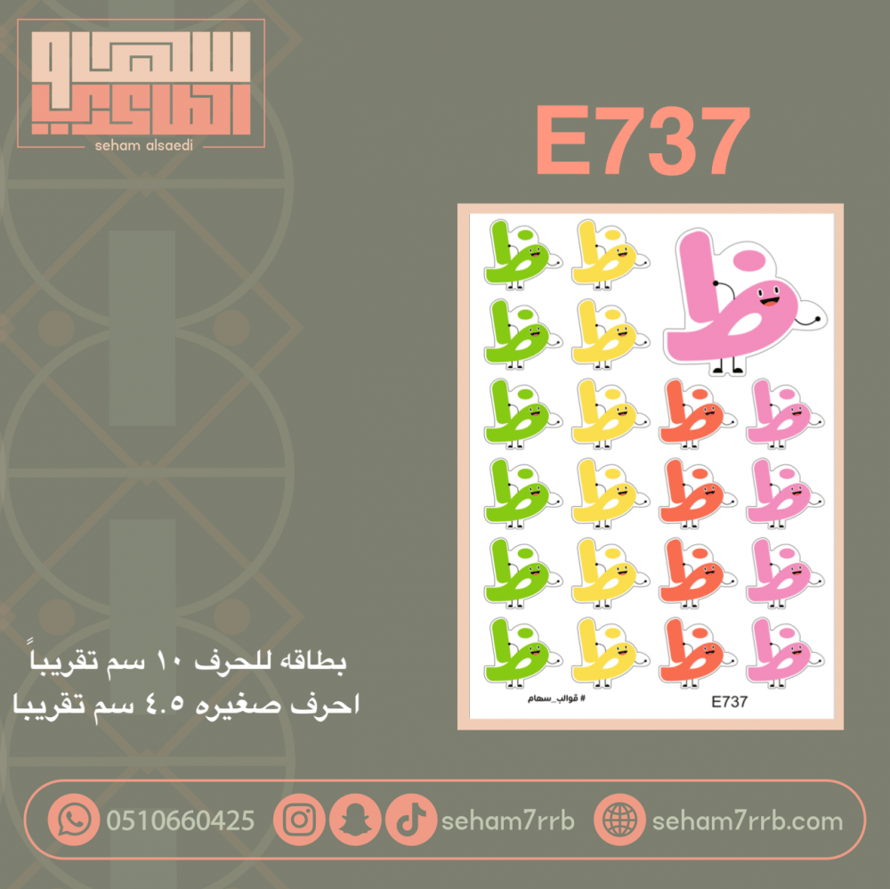 E737 - صورة 1