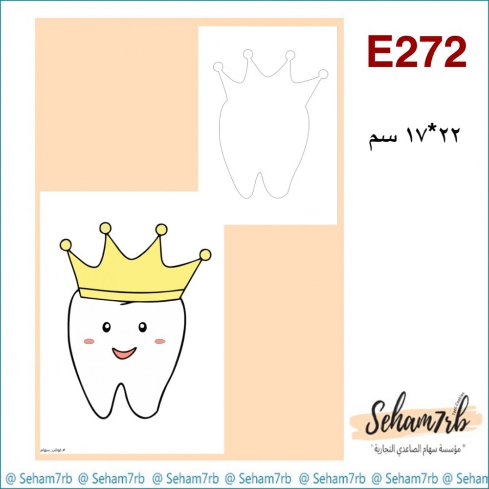 E272 - صورة 1