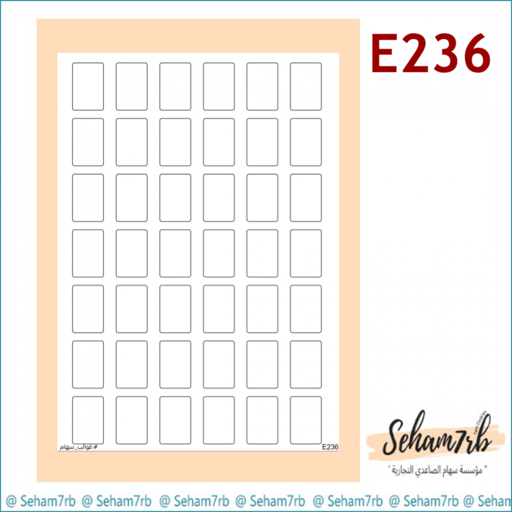 E236 - صورة 1