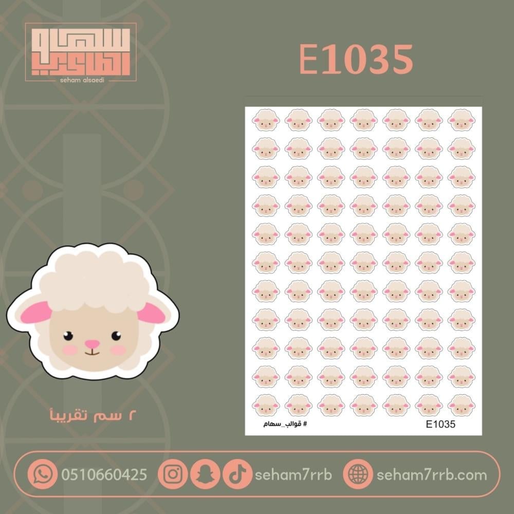 E1035 - صورة 1