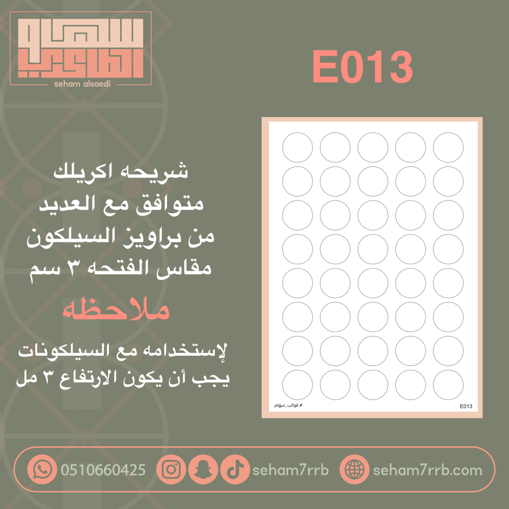 E013 - صورة 1