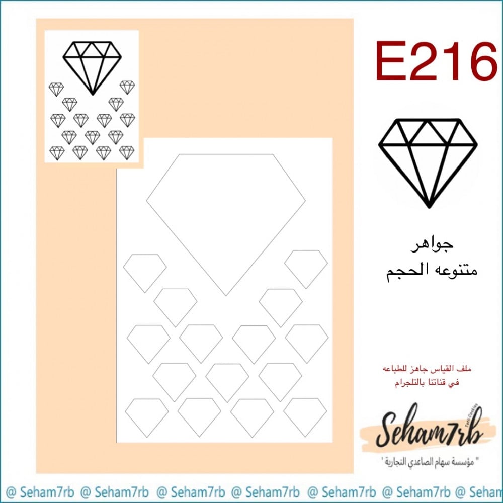 E216 - صورة 1