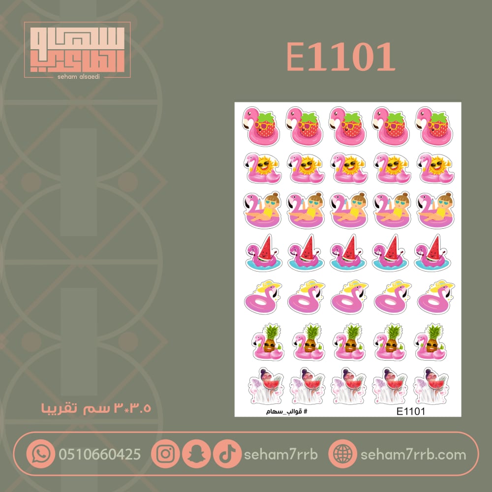 E1101 - صورة 1