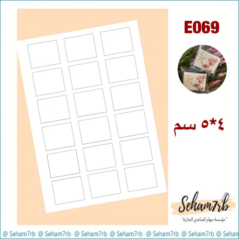 E069 - صورة 1