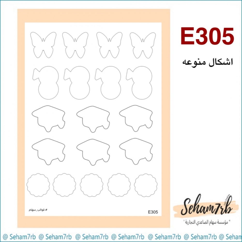 E305 - صورة 1
