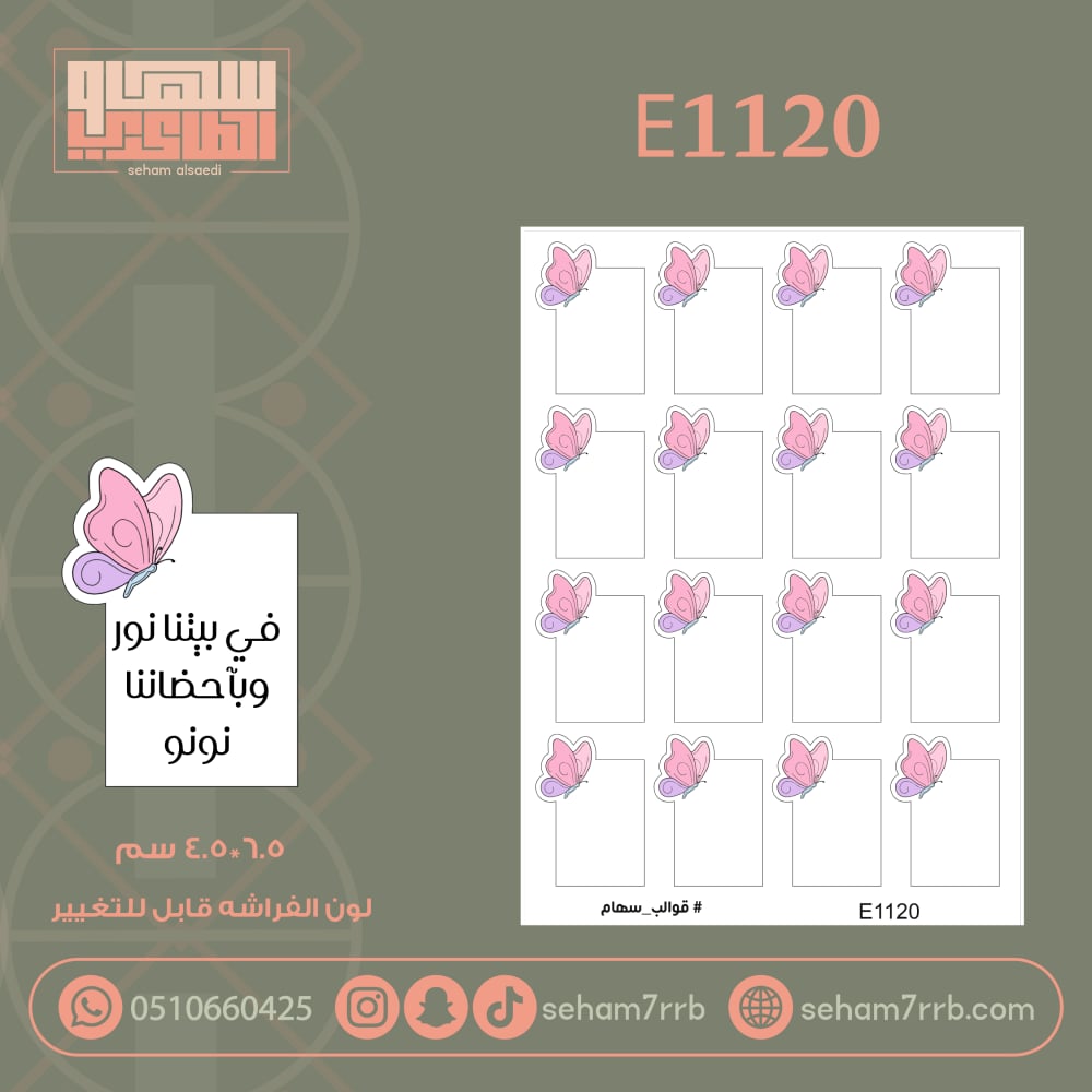 E1120 - صورة 1