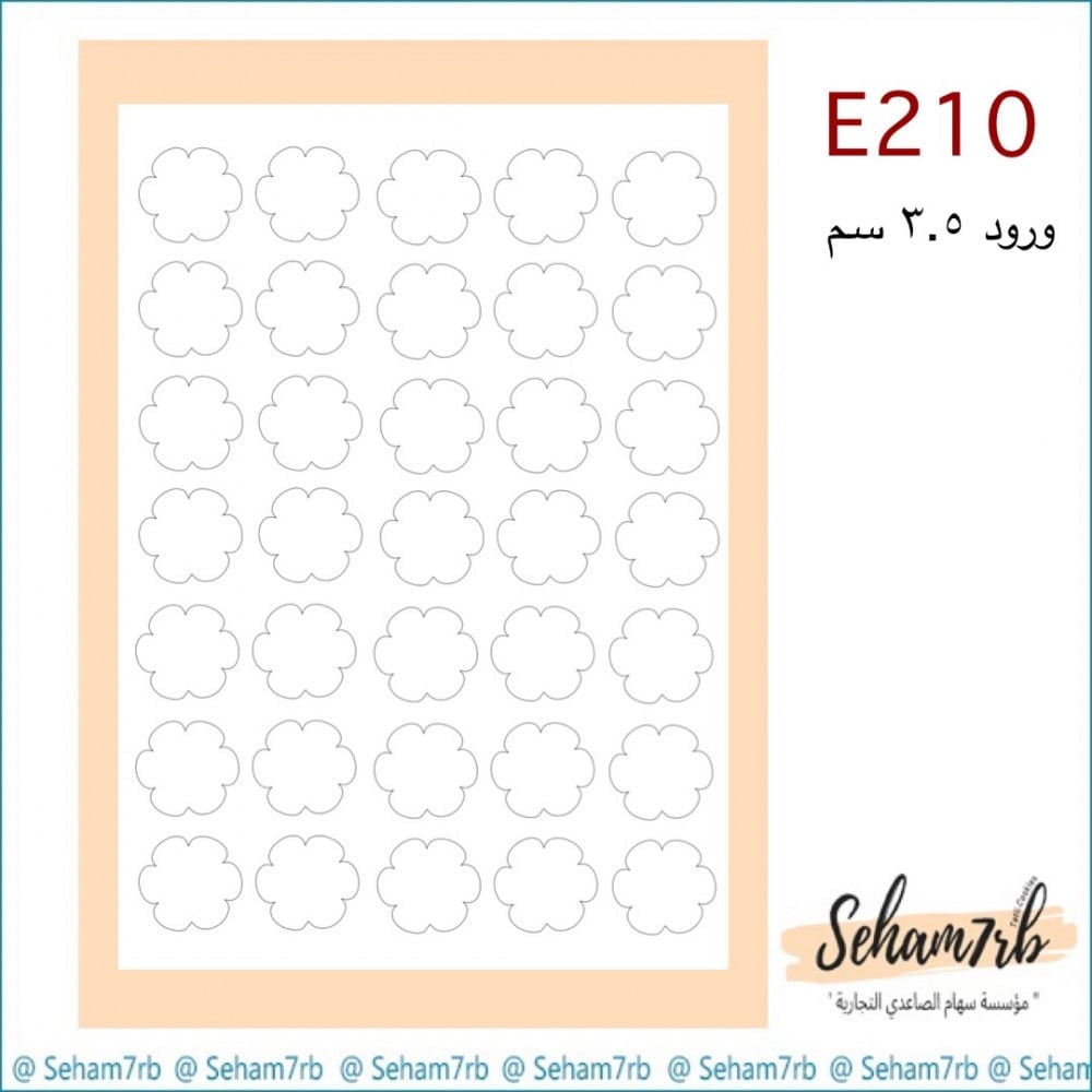 E210 - صورة 1