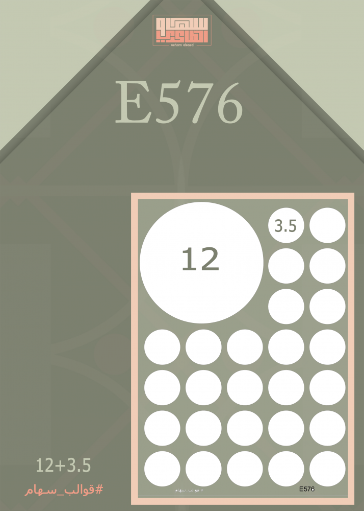E576 - صورة 1