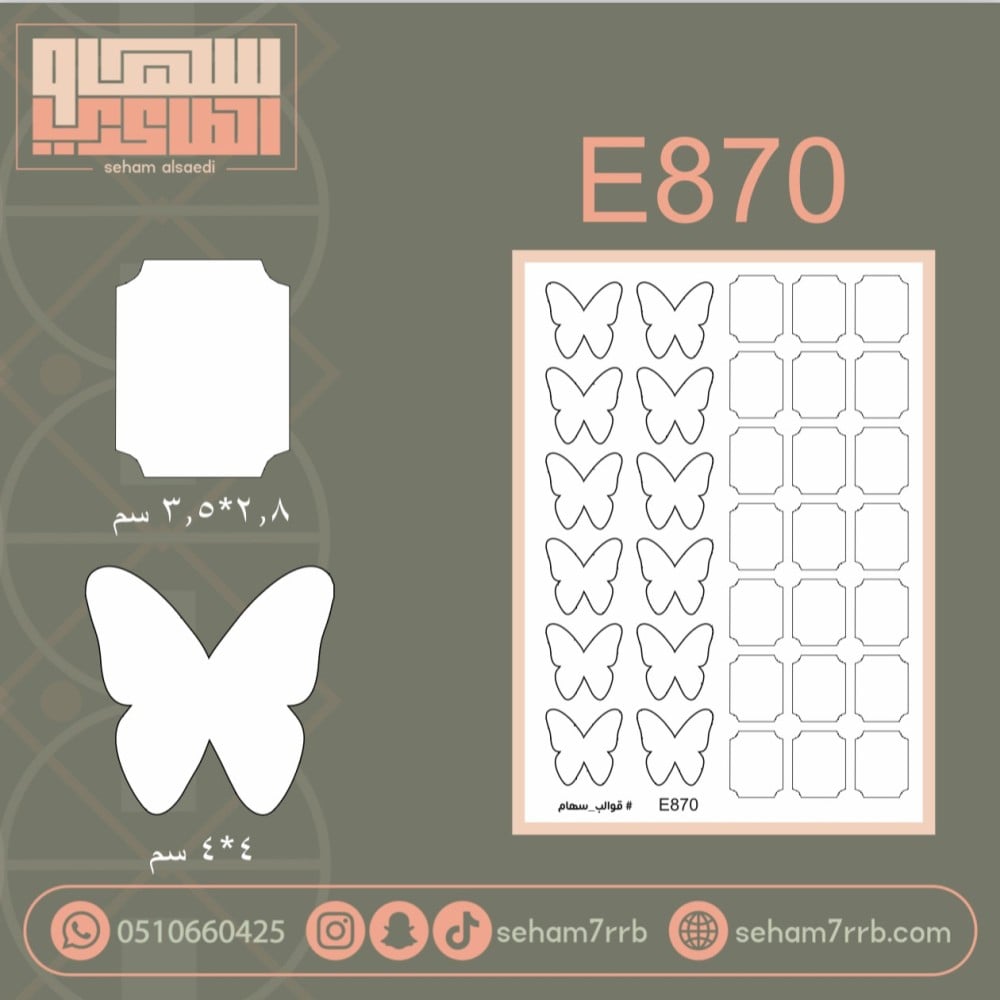 E870 - صورة 1